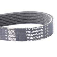 AGCO Serpentine Belt 72476512 Parts - True Ag & Turf