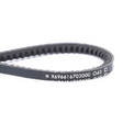 AGCO V-Belt 72379445 Parts - True Ag & Turf