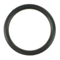 AGCO O-RING 3907410M1 Parts - True Ag & Turf