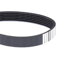 AGCO Serpentine Belt 4286263M1 Parts - True Ag & Turf