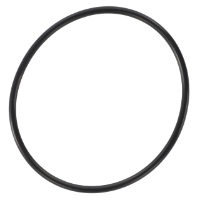 AGCO O-Ring 3019474X1 Parts - True Ag & Turf