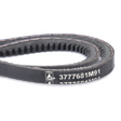 AGCO V-Belt, Sold as a Matched Pair 3777681M91 Parts - True Ag & Turf