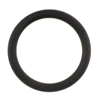 AGCO O-RING 1508879M1 Parts - True Ag & Turf