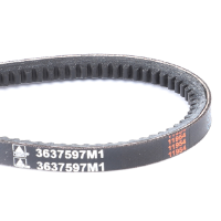 AGCO V-Belt 3637597M1 Parts - True Ag & Turf