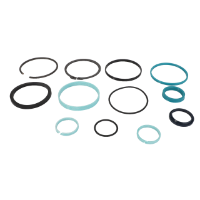 AGCO SEAL SET HYDRAULIC CYLINDER 72606035 Parts - True Ag & Turf