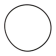 AGCO O-RING 6244789M1 Parts - True Ag & Turf
