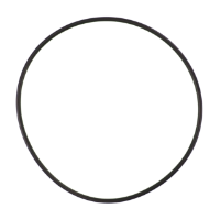 AGCO O-RING 6244789M1 Parts - True Ag & Turf