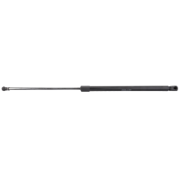 AGCO Gas Strut, Chassis 72426298 Parts - True Ag & Turf