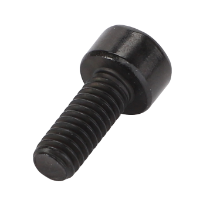 AGCO TORX HEAD SCREW ACX3007240