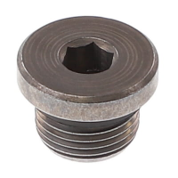AGCO PLUG V640155118 Parts - True Ag & Turf