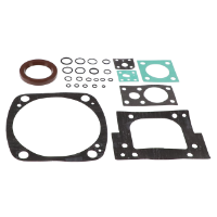 AGCO SEAL AND GASKET KIT AG710252 Parts - True Ag & Turf