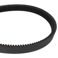 AGCO BELT 79034561V Parts - True Ag & Turf