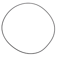 AGCO O-RING 71359927 Parts - True Ag & Turf