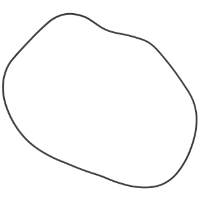 AGCO GASKET 3902376M1 Parts - True Ag & Turf