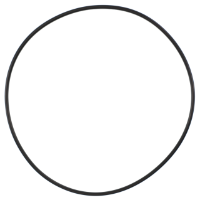 AGCO O-RING 72655074 Parts - True Ag & Turf