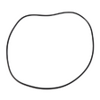 AGCO O-RING 3321066M2 Parts - True Ag & Turf