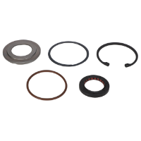 AGCO SEAL KIT 700737561 Parts - True Ag & Turf