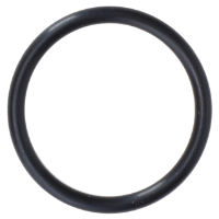 AGCO O-RING WR35021 Parts - True Ag & Turf