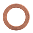 AGCO SEALING RING 3004861X1 Parts - True Ag & Turf