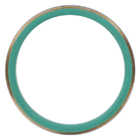 AGCO Oil Seal 3904988M1 Parts - True Ag & Turf