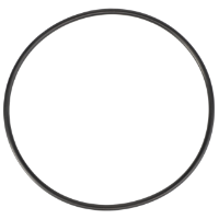 AGCO O-Ring 70923820 Parts - True Ag & Turf