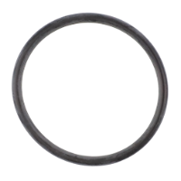 AGCO O-RING 3014537X1 Parts - True Ag & Turf