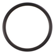 AGCO O-RING 3702476M1 Parts - True Ag & Turf