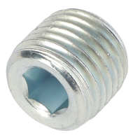 AGCO PLUG AL60014137 Parts - True Ag & Turf
