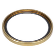 AGCO SEAL 166868A Parts - True Ag & Turf