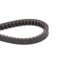 AGCO V-Belt 2224P00501 Parts - True Ag & Turf