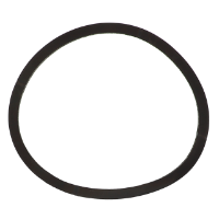 AGCO GASKET 10A19138 Parts - True Ag & Turf