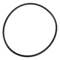 AGCO O-RING 3702475M1 Parts - True Ag & Turf