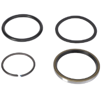 AGCO SEALS KIT 71128659 Parts - True Ag & Turf