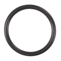 AGCO O-RING 3702480M1 Parts - True Ag & Turf