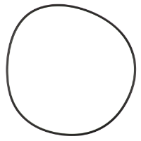 AGCO O-RING 359126X1 Parts - True Ag & Turf