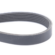 AGCO Serpentine Belt, PK6 Profile ACW0256560 Parts - True Ag & Turf