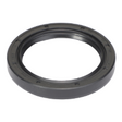 AGCO Oil Seal 4316451M1 Parts - True Ag & Turf