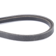 AGCO BELT 6243628M2 Parts - True Ag & Turf