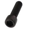 AGCO HEX SOCKET SCREW V581706290 Parts - True Ag & Turf