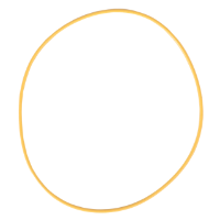 AGCO O-Ring 201-9933 Parts - True Ag & Turf