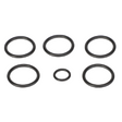 AGCO SEAL KIT 72455467 Parts - True Ag & Turf