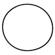 AGCO O-RING 70926216 Parts - True Ag & Turf