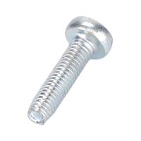 AGCO Screw 72456490 Parts - True Ag & Turf