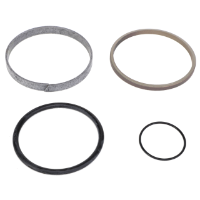AGCO SEAL KIT 72605799 Parts - True Ag & Turf