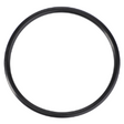 AGCO O-Ring, Final Drive 3009744X1 Parts - True Ag & Turf