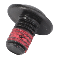 AGCO TORX HEAD SCREW ACX2570390