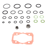 AGCO SEAL KIT 530692D1 Parts - True Ag & Turf