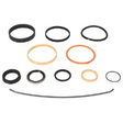 AGCO Seal Kit 700723484 Parts - True Ag & Turf