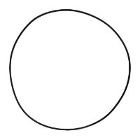 AGCO O-RING 72252576 Parts - True Ag & Turf