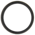 AGCO Seal, Final Drive 3429790M2 Parts - True Ag & Turf
